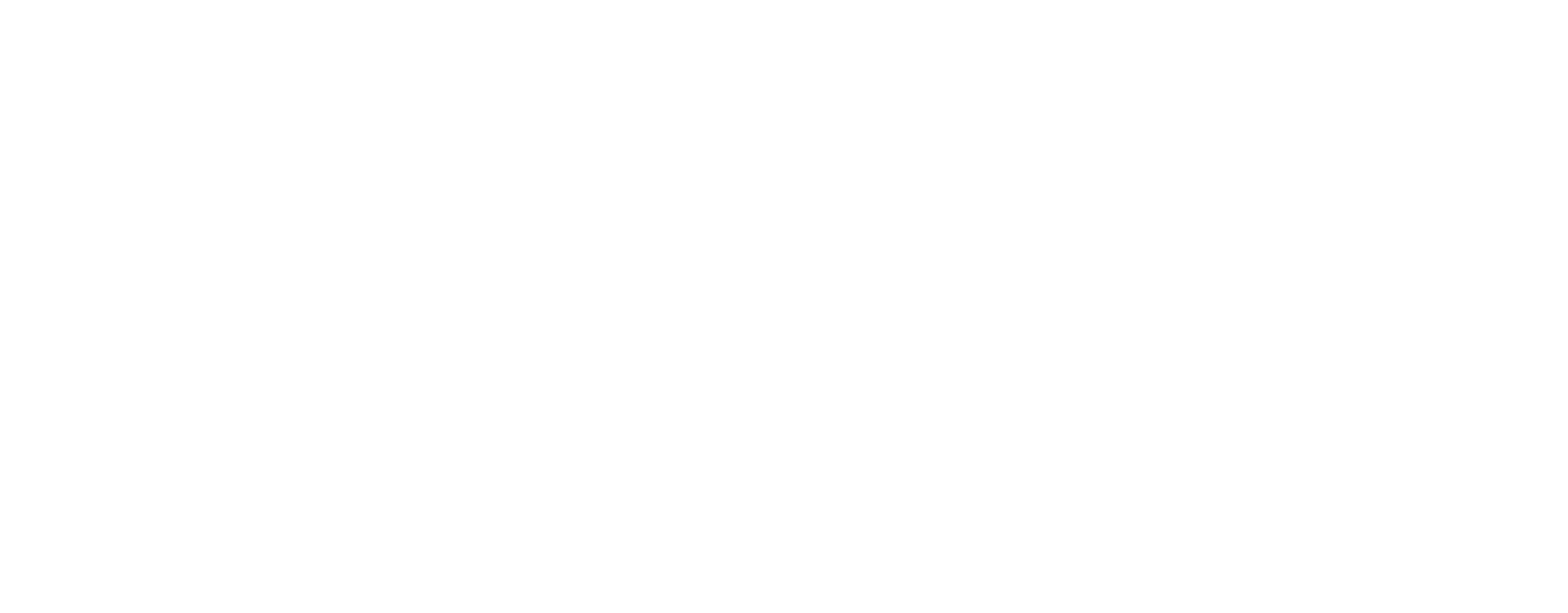 FLYCARB